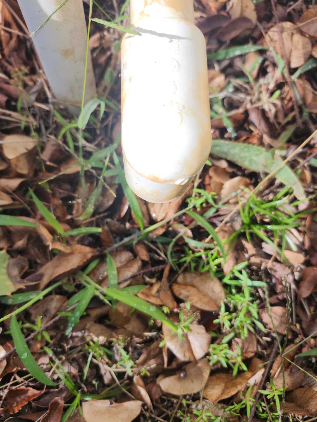 System running properly after maintenance in New Port Richey, FL 34654