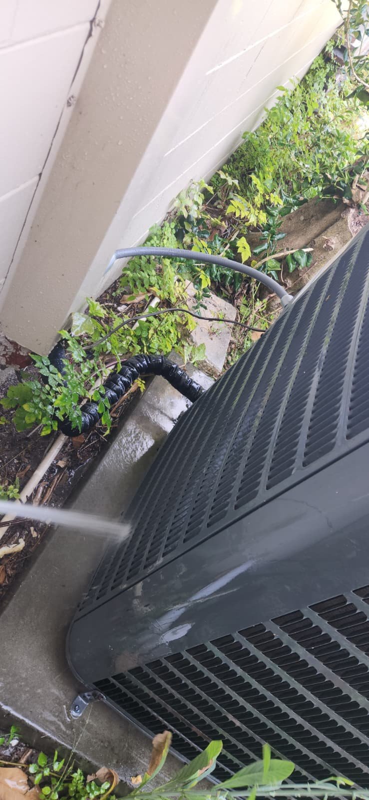 Completed HVAC maintenance service for Elite Therapy Plan in Tampa, FL 33615