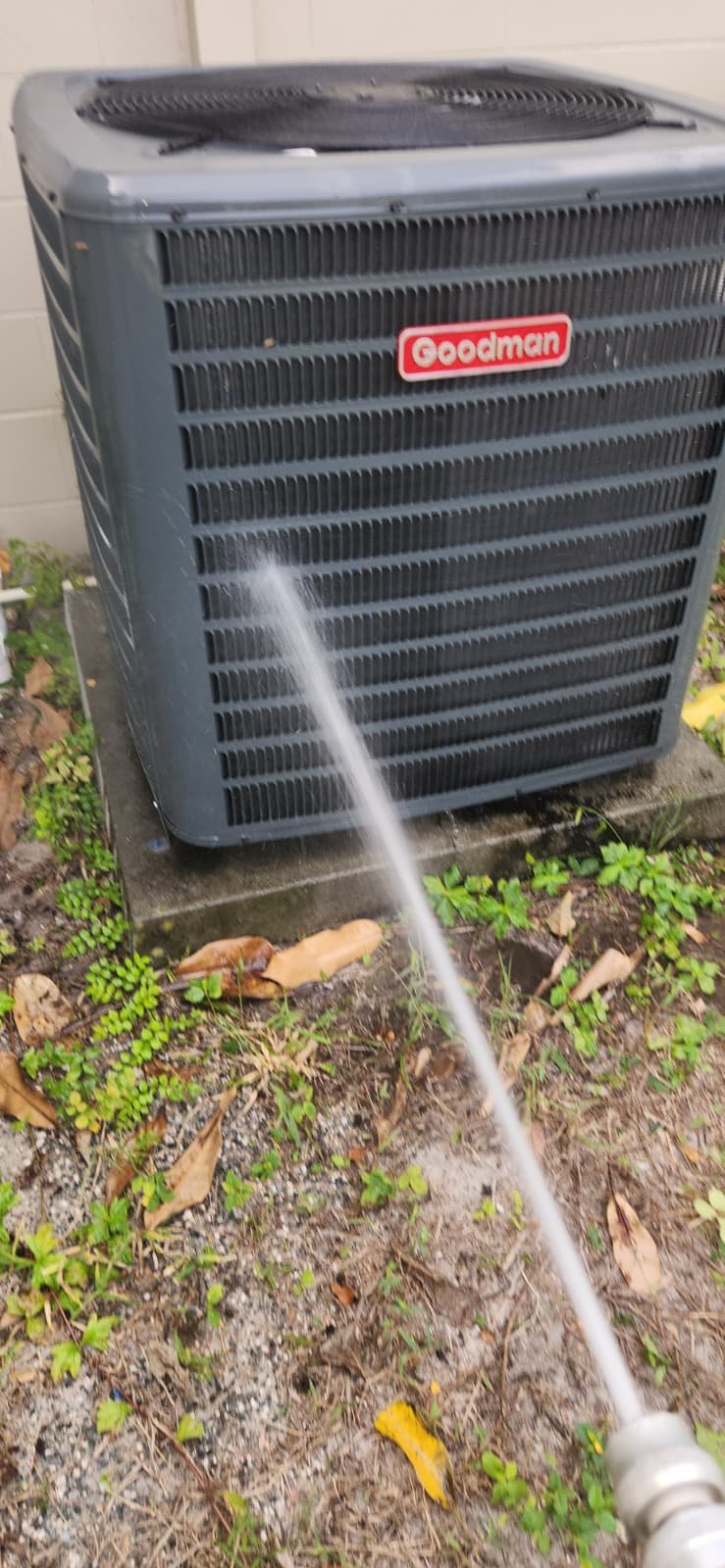 Air handler maintenance under Elite Therapy Plan in Tampa, FL 33615