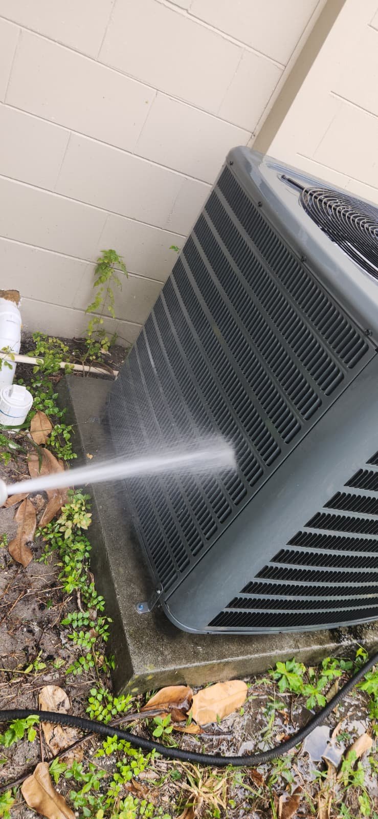 HVAC maintenance visit in Tampa, FL 33615 during Elite Therapy Plan service