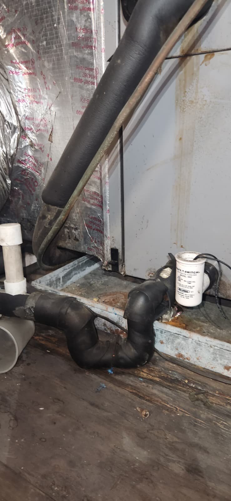 Premium quarterly HVAC service documenting system status in Tampa, FL 33634