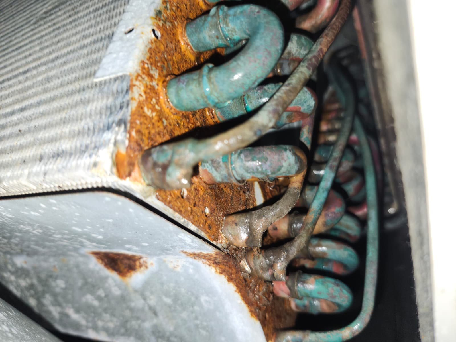 Rusted Coil, Nonstop Blower, 20 Years | Home Therapist Tampa Bay