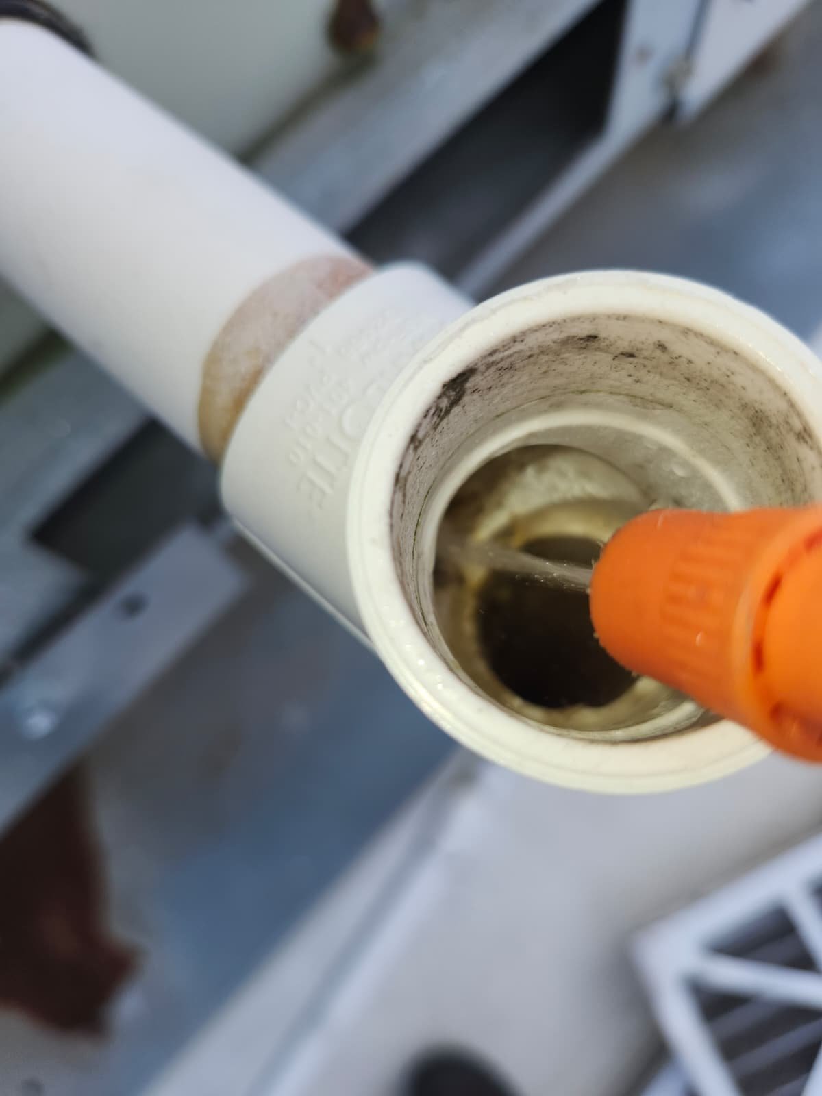 Air filter maintenance to improve indoor air quality in Tampa, FL 33634
