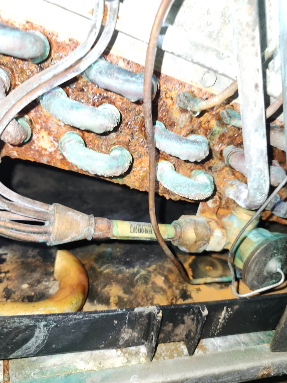 Evaporator coil condition documented during AC maintenance in Tampa, FL 33634