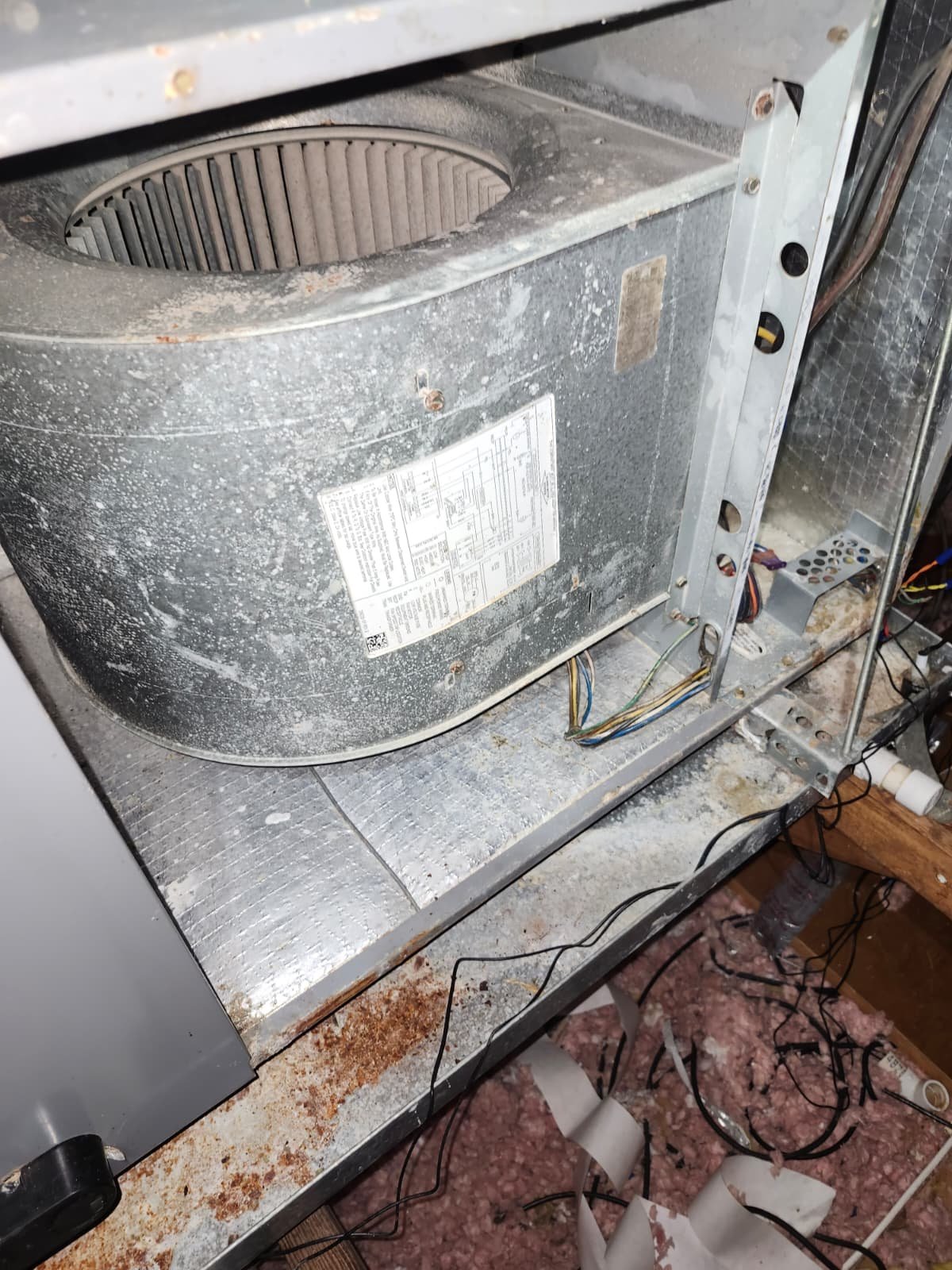 New condenser checked for proper AC pressures in New Port Richey, FL 34652-3110