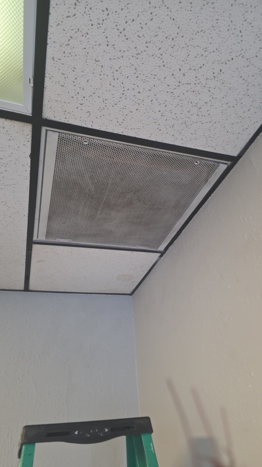 HVAC filter and grill cleaning during AC maintenance in Tampa, FL 33610