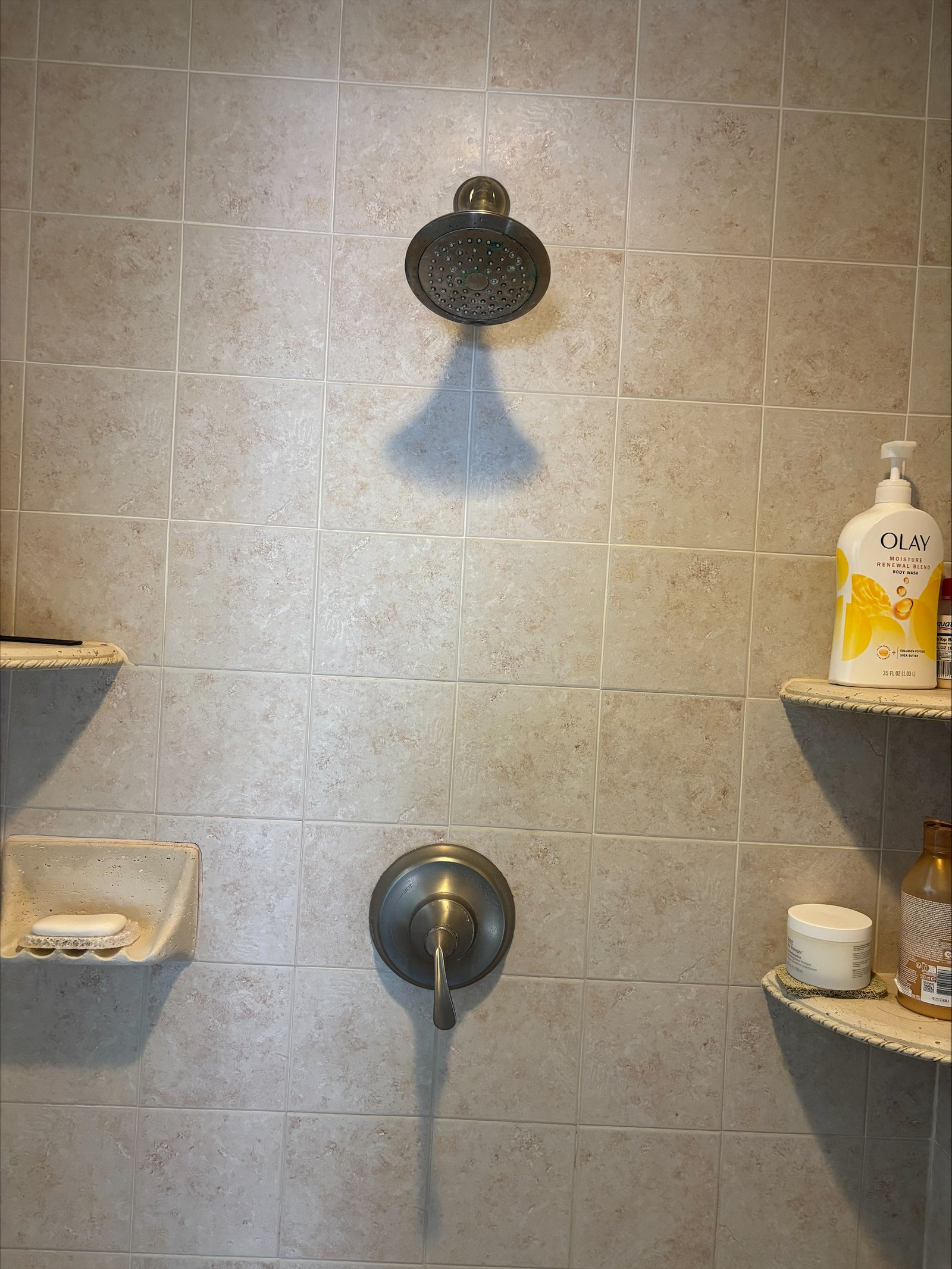 New shower valve and trim installation in Valrico, FL 33596