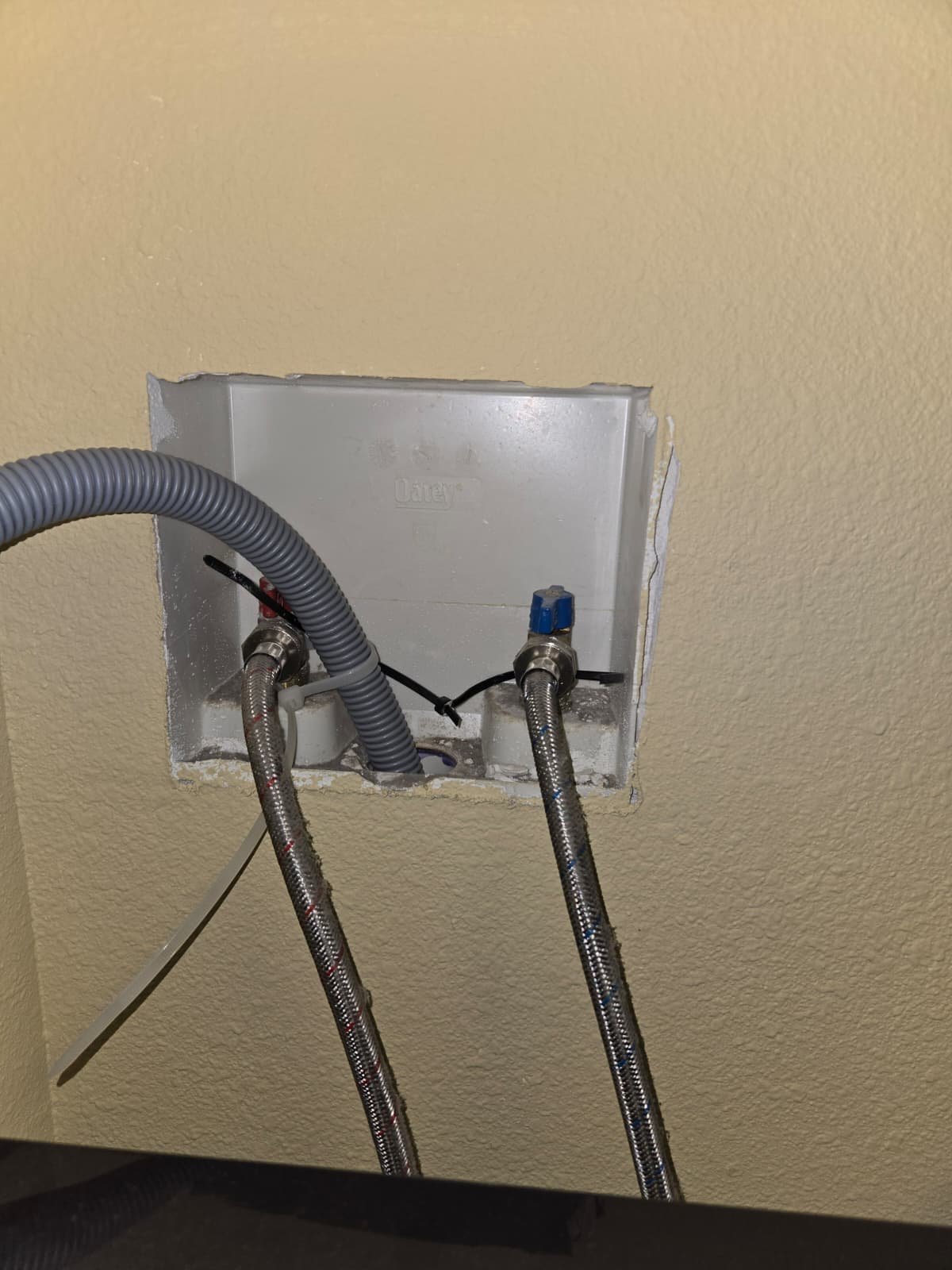 Aged water heater inspected for replacement in Dunedin, FL 34698