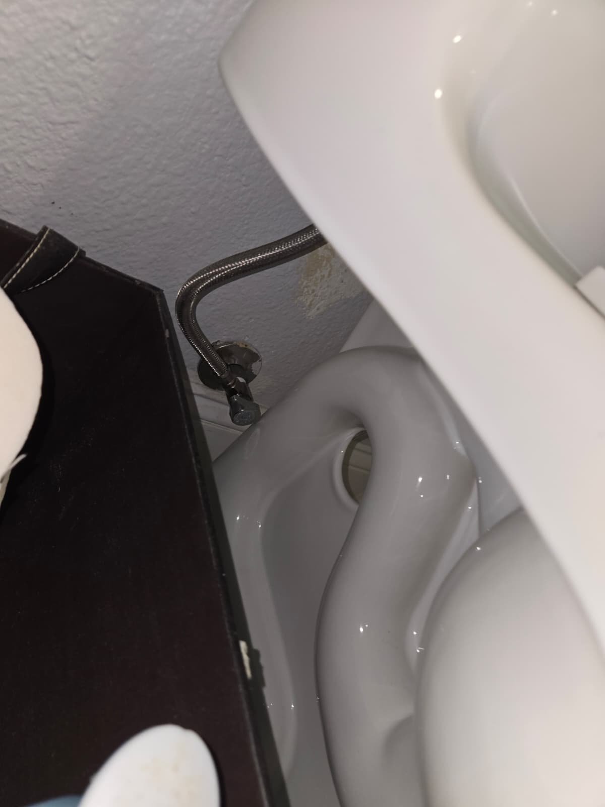 Plumbing system and water heater inspection in Dunedin, FL 34698 home