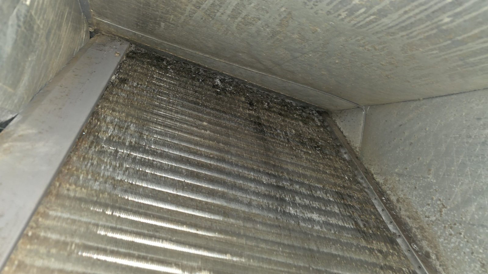 HVAC system inspection under Premium Home Therapy Plan in Tampa, FL 33619