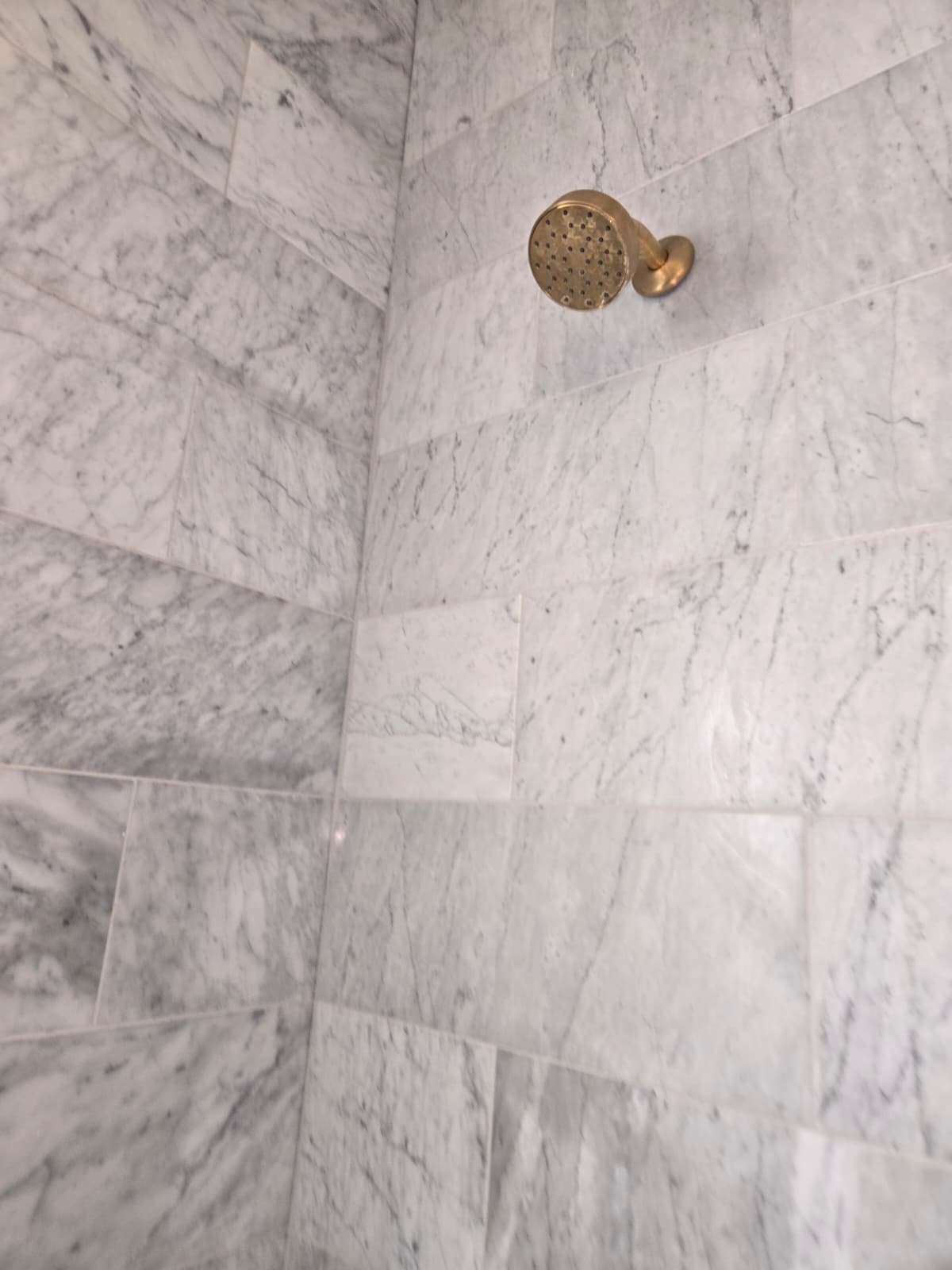 Tankless water heater flushing and plumbing check in Tampa, FL 33609