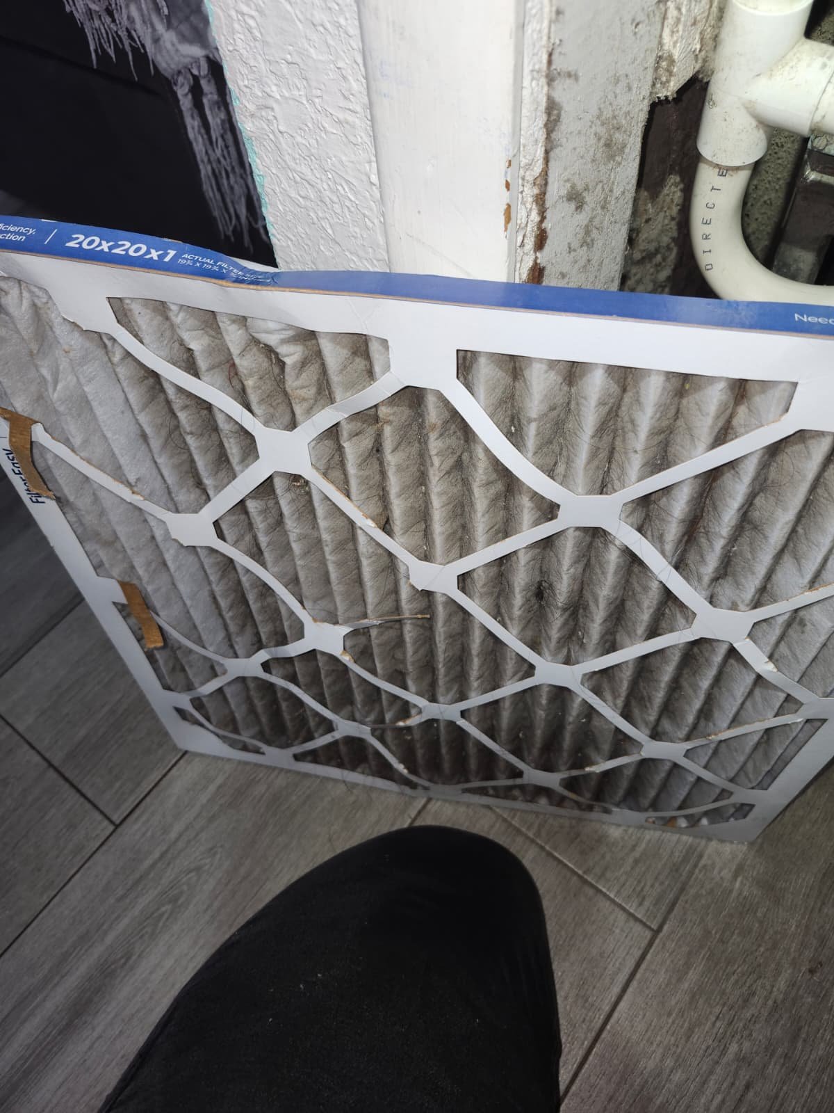 Comprehensive AC inspection and tune-up in Tampa, FL 33616 for reliable cooling