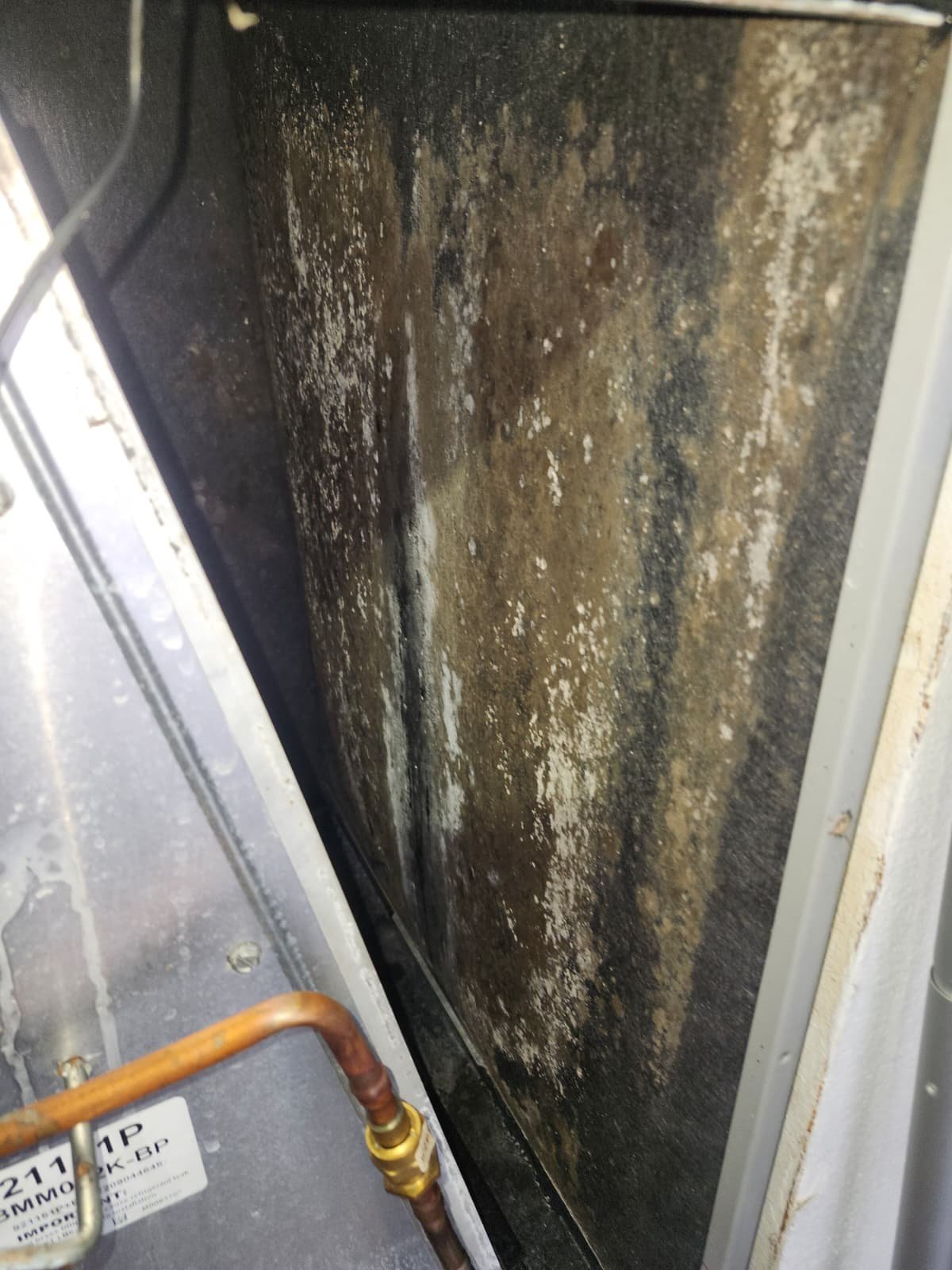 AC tune-up inspection in New Port Richey, FL 34655