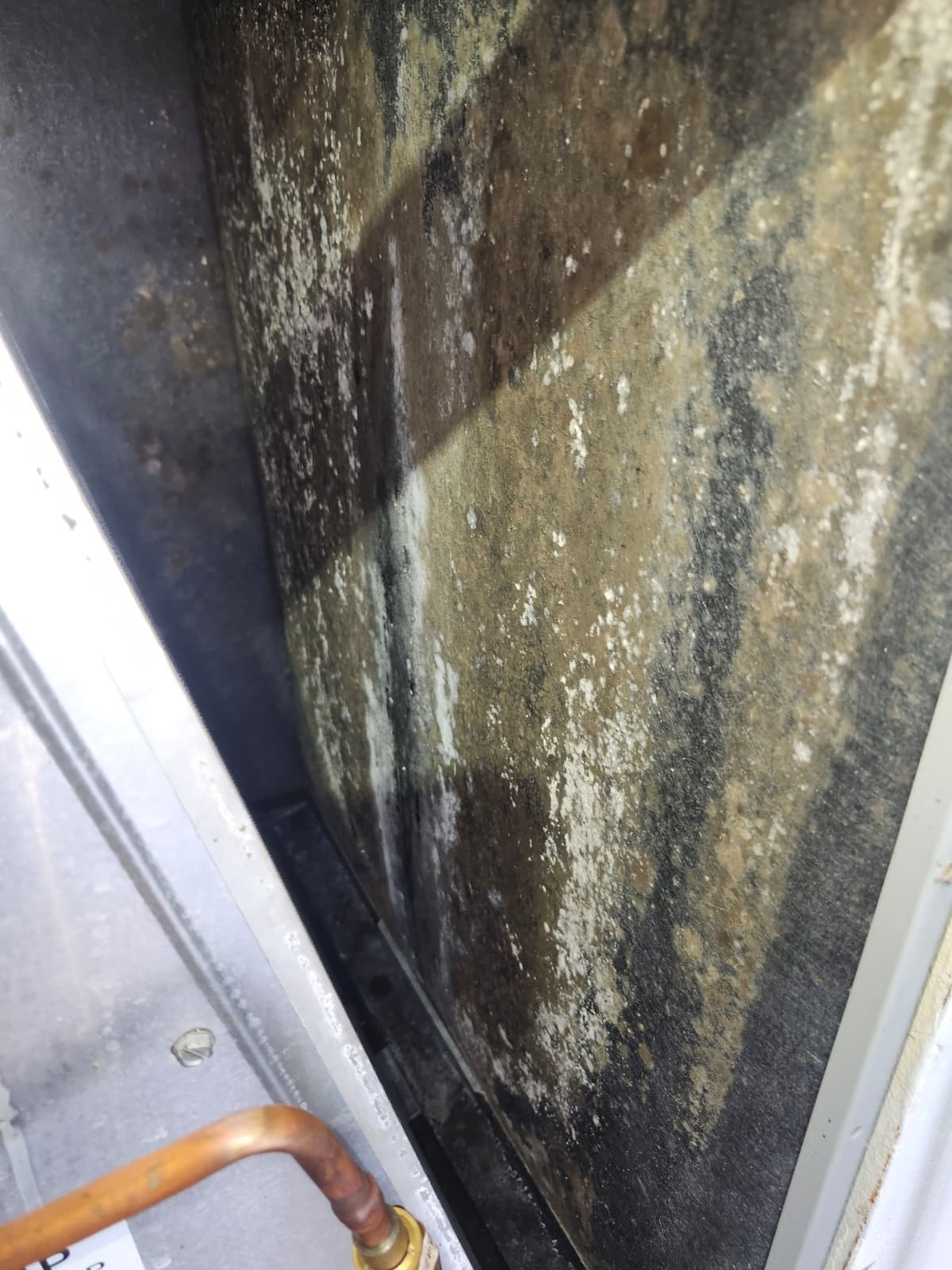 Air conditioner maintenance on 2022 unit in New Port Richey, FL 34655