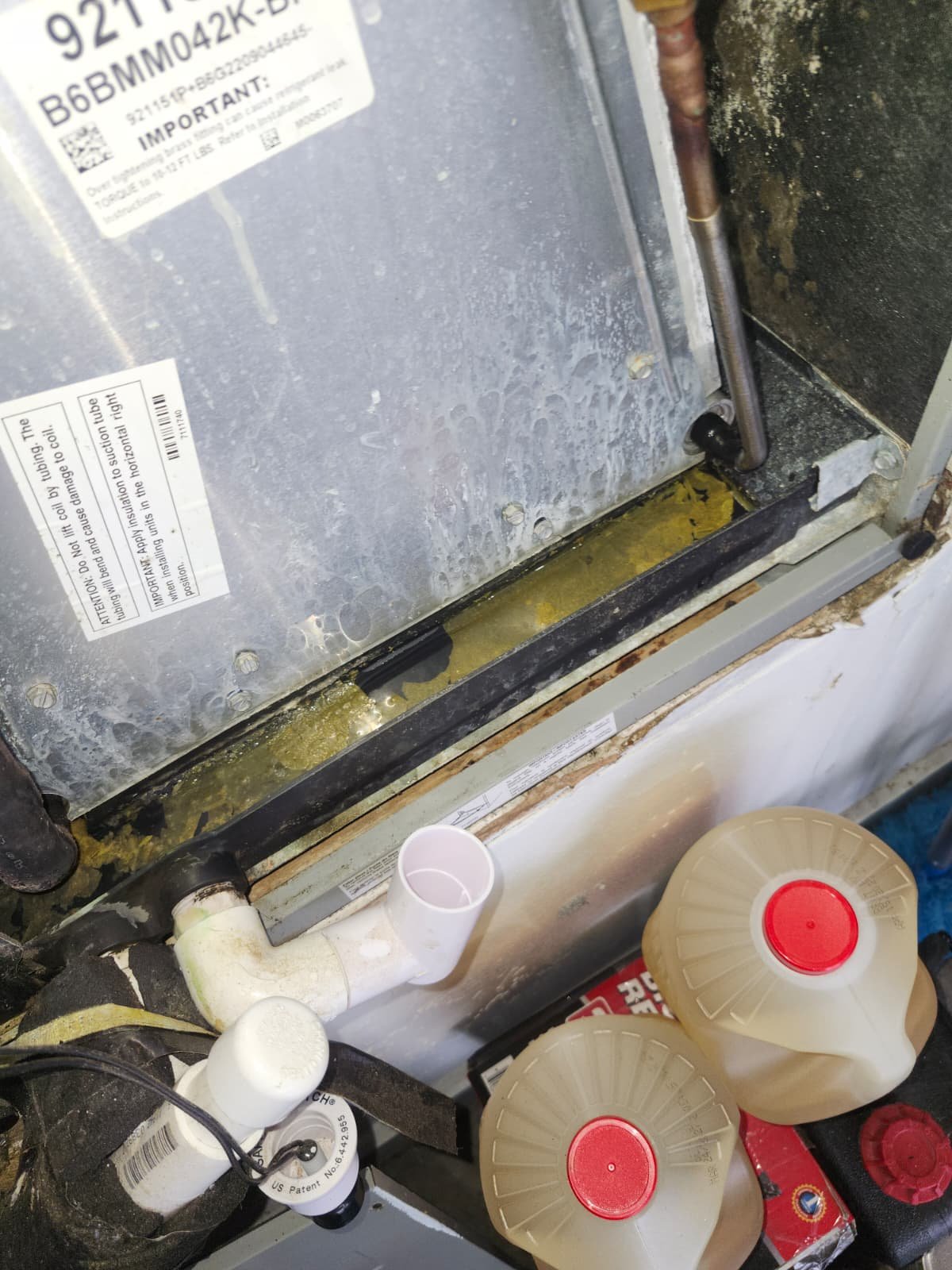 Organic growth on AC equipment in New Port Richey, FL 34655 before cleaning