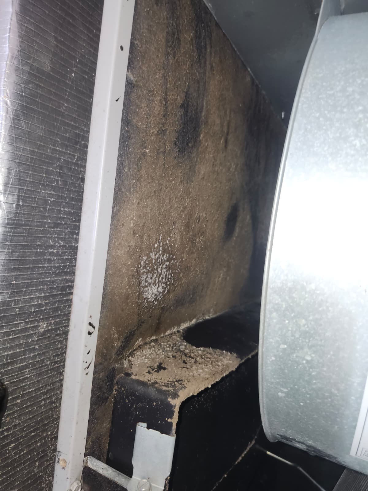 Recommended UV light and duct replacement for AC in New Port Richey, FL 34655