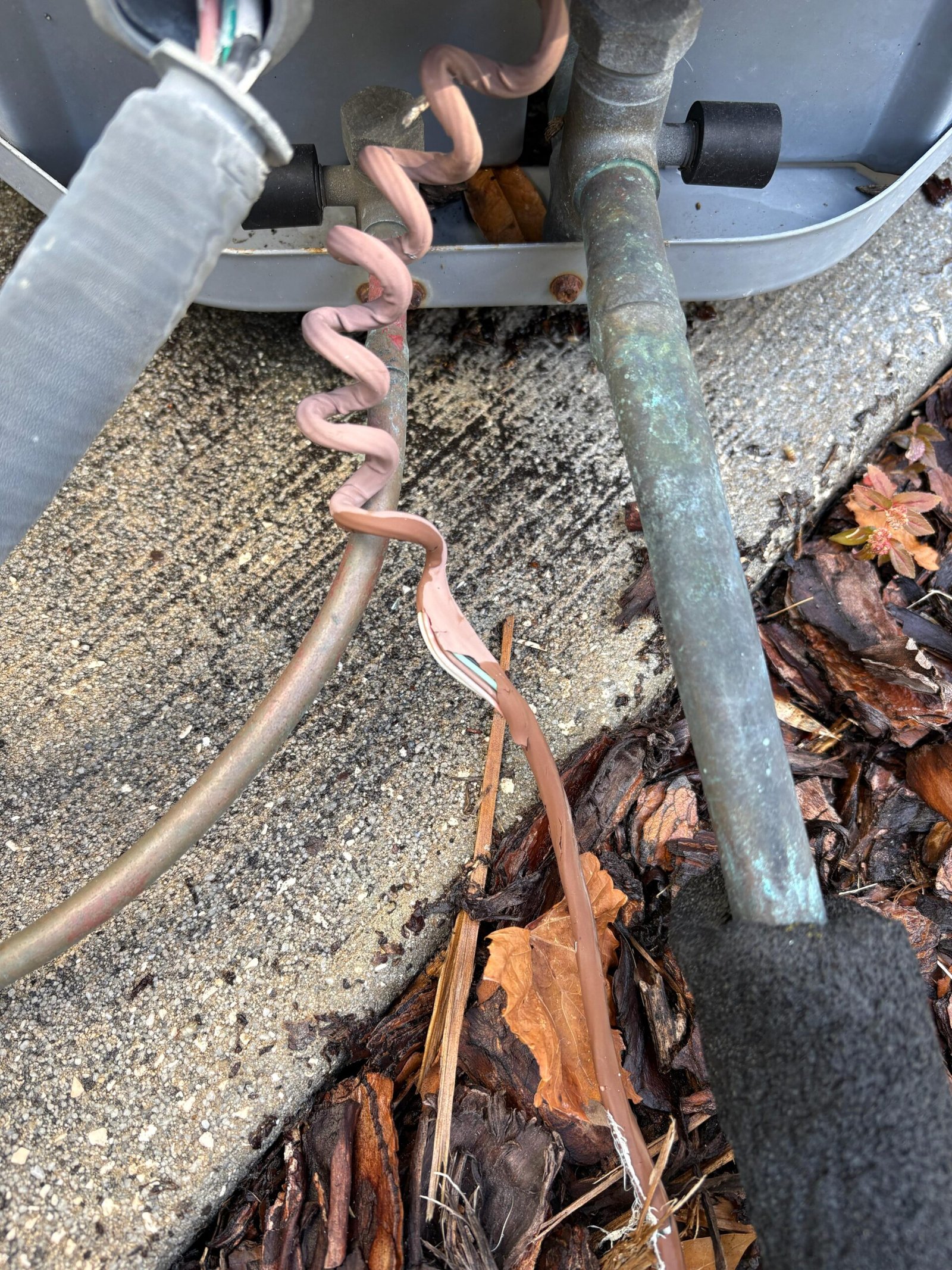 High voltage line and wire whip inspection in Tampa, FL 33629