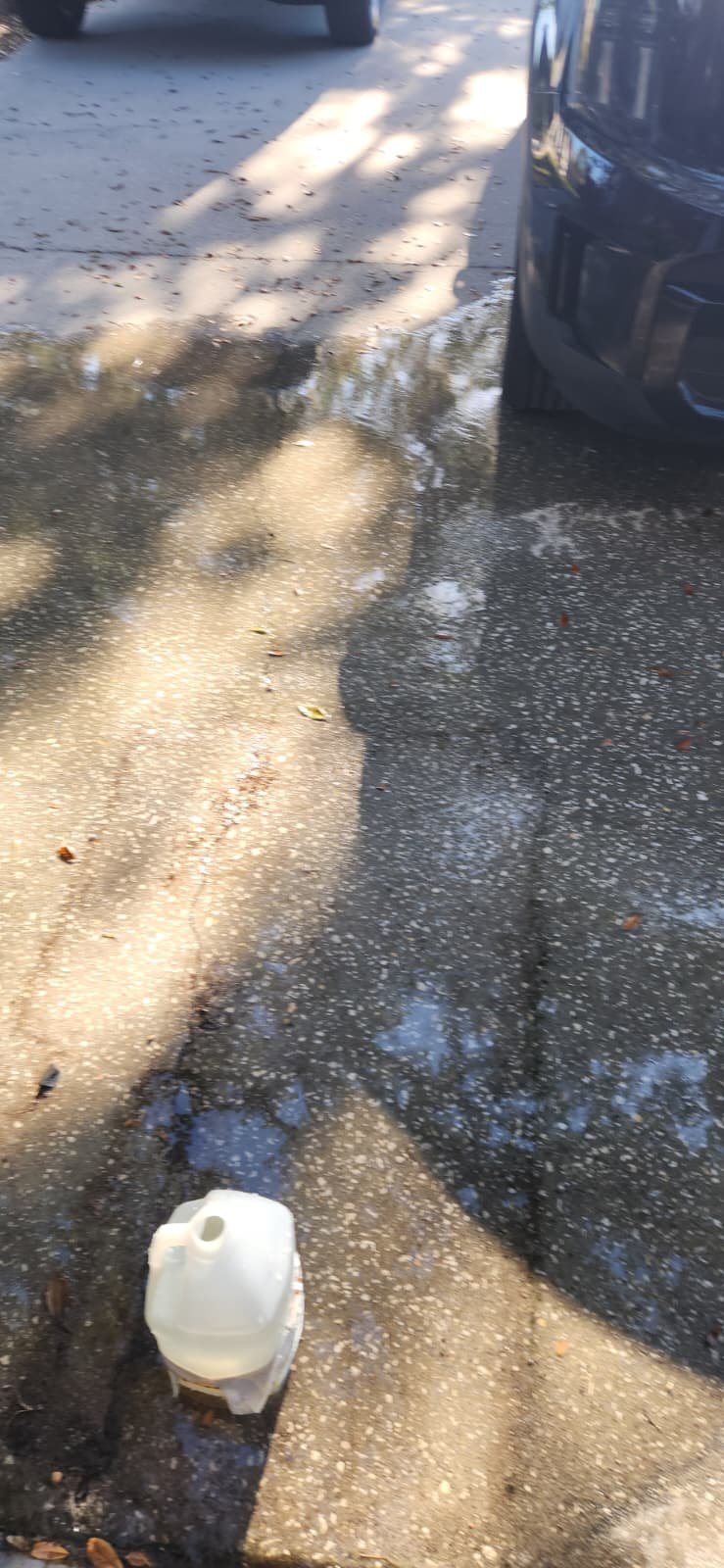 Value Home Therapy Plan plumbing maintenance visit in Tampa, FL 33625