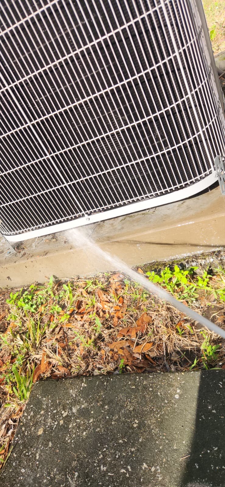 Value Home Therapy Plan maintenance visit in Tampa, FL 33625