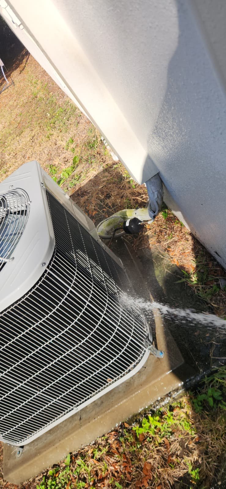 Final home maintenance plan checks completed in Tampa, FL 33625