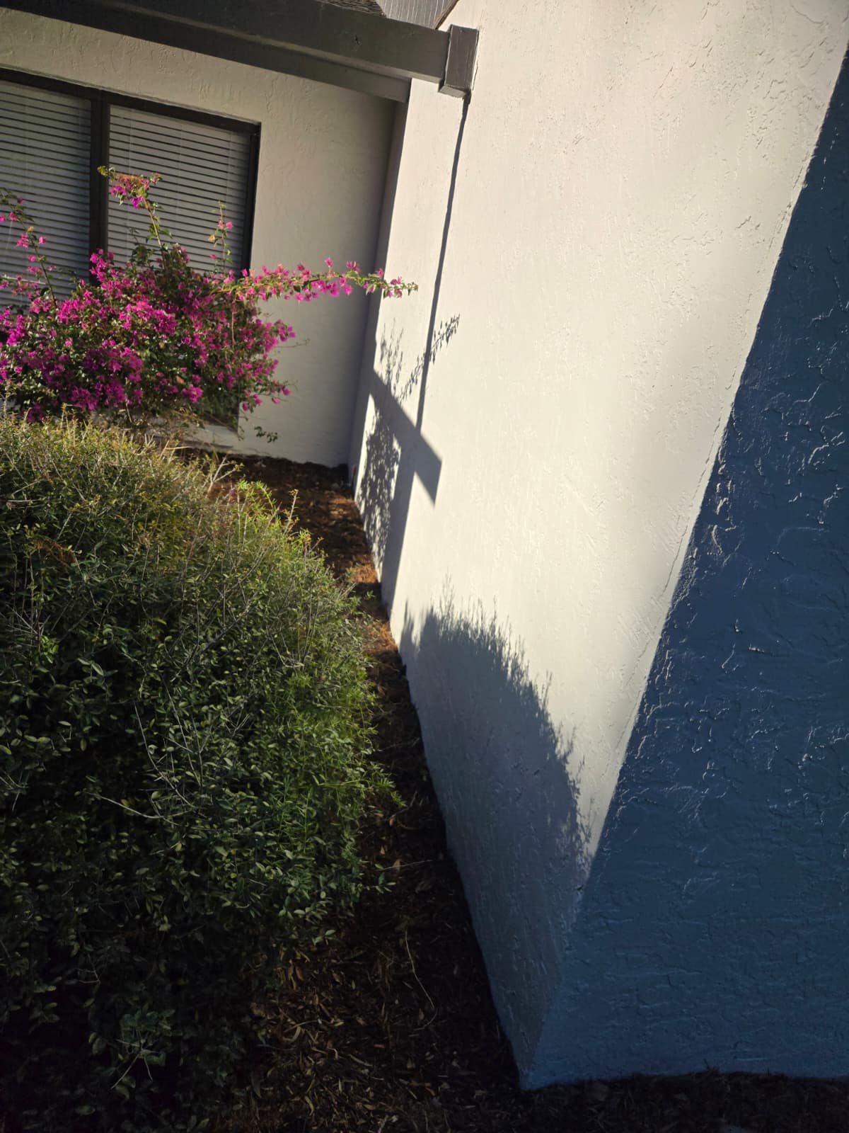 New water filtration and softener system installed in Tampa, FL 33618