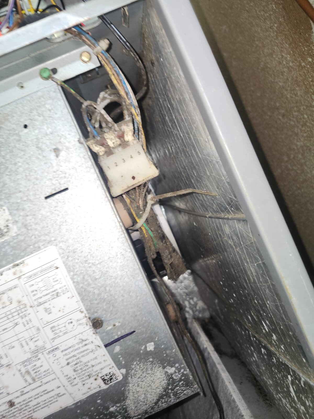 Air handler inspection and blower cleaning recommendation in Tampa, FL 33625 condo