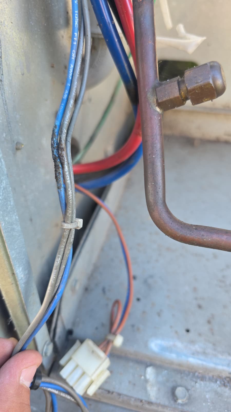 Damaged thermostat control wiring on heat pump condenser in Tampa, FL 33603