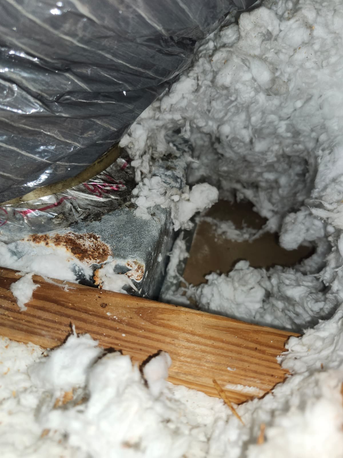 Professional AC tune-up in Valrico, FL 33596 including refrigerant check