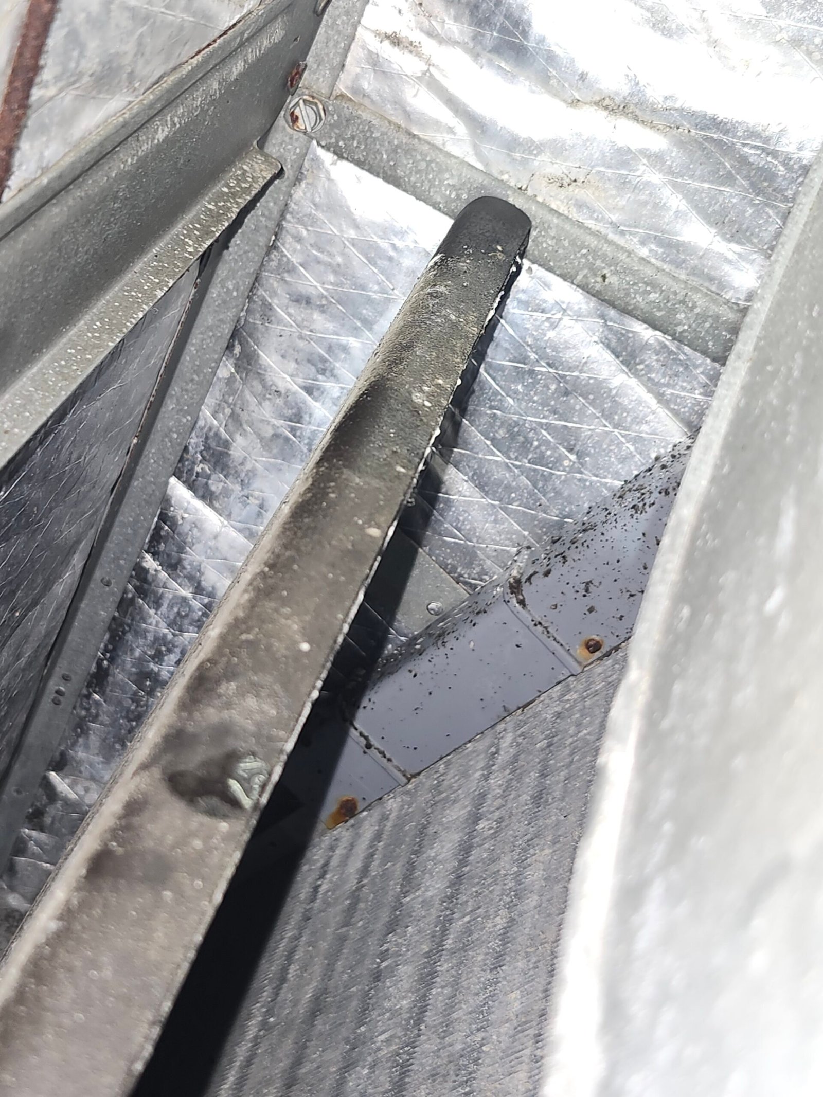 Air handler coil at risk of water leaks during AC maintenance in St. Petersburg, FL 33702