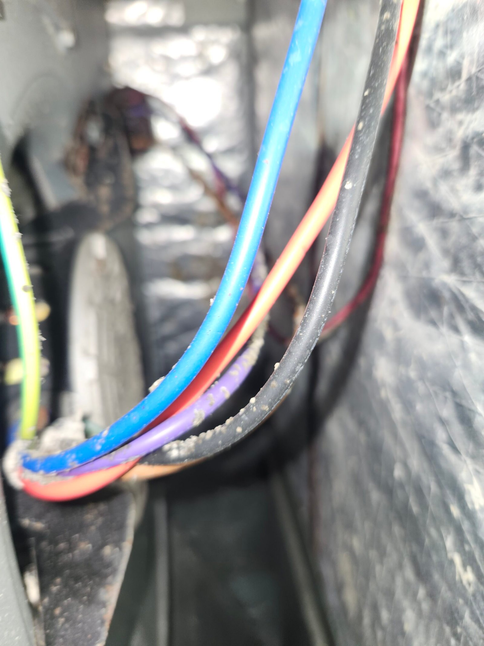 Aging fiber ducts posing potential mold risk in St. Petersburg, FL 33702 home