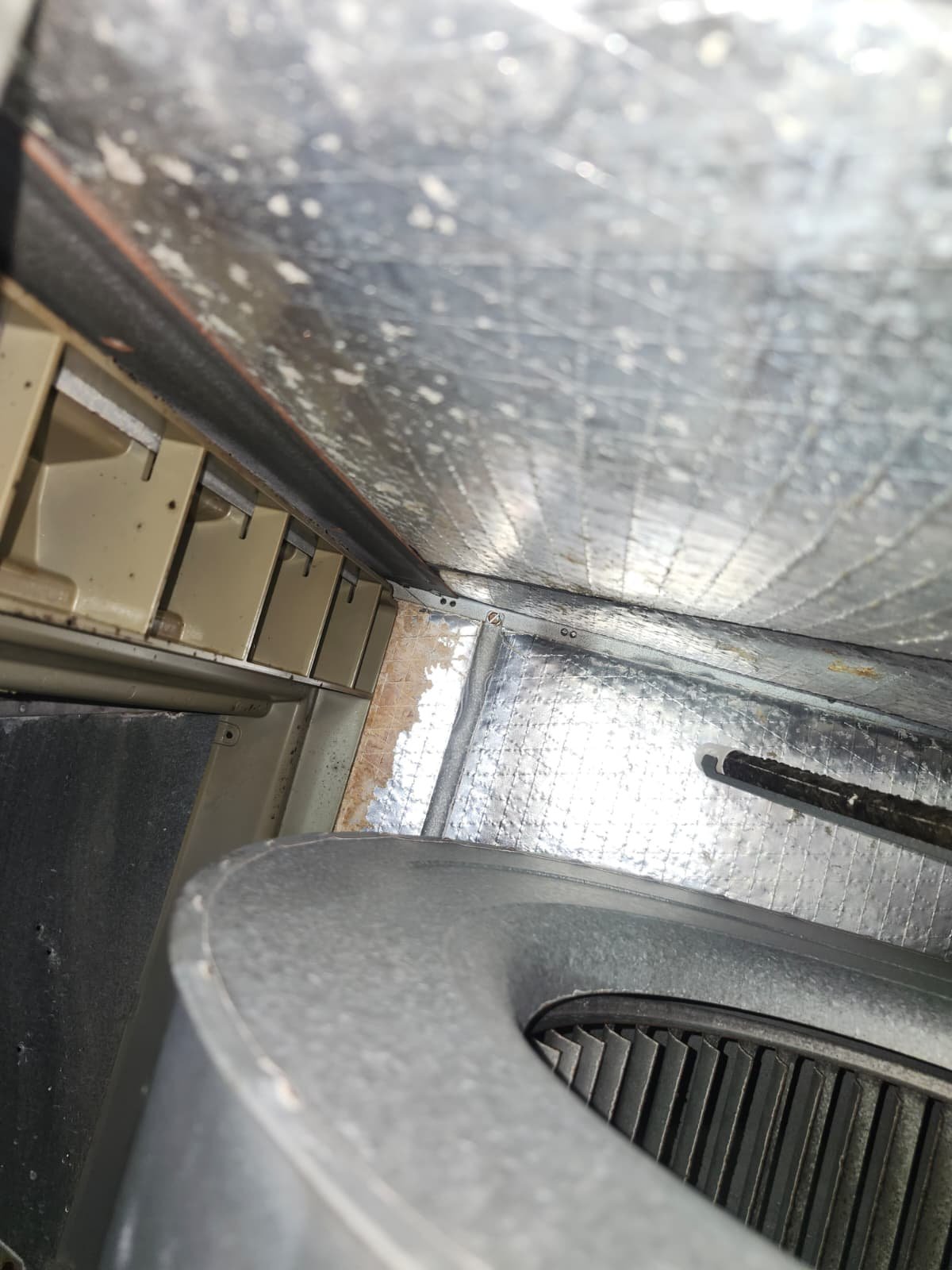 AC tune-up wiring and component inspection in Seffner, FL 33584