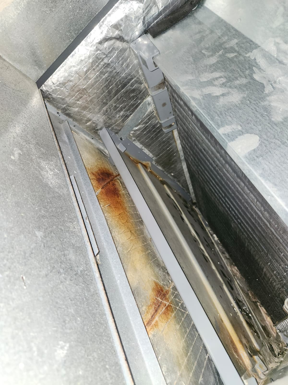 Air handler cleaning and UV light placement in Seffner, FL 33584 home