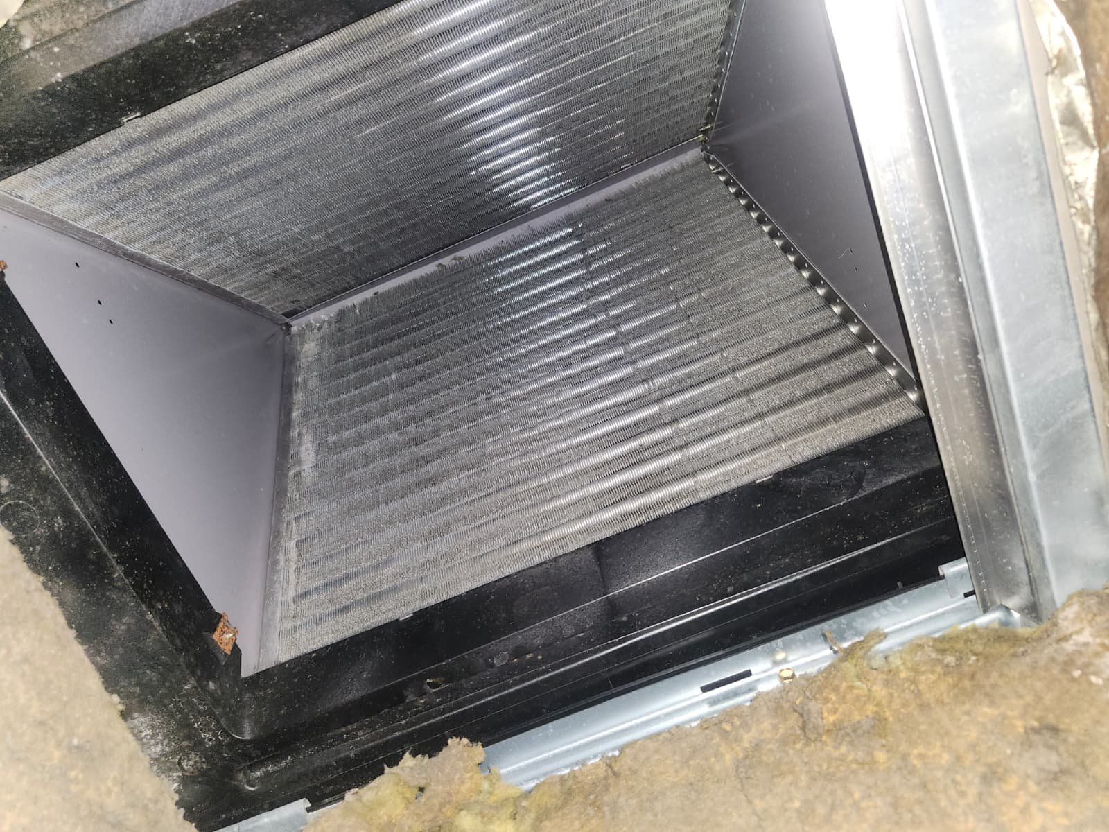 AC tune-up service in St. Petersburg, FL 33702 with full HVAC cleaning and inspection