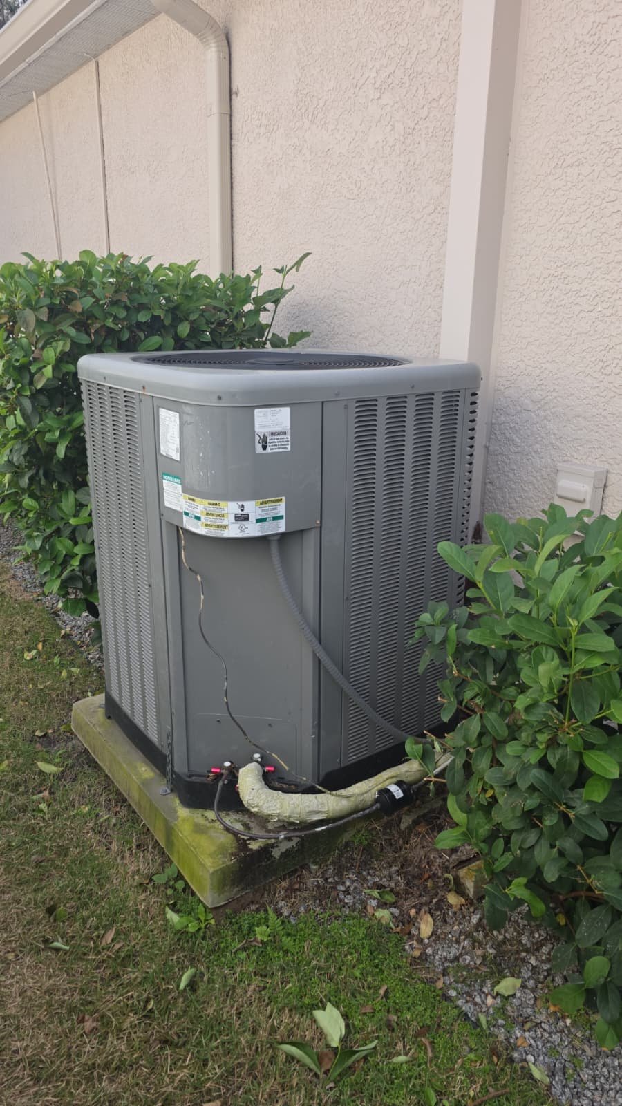 HVAC tune-up with UV light and system hygiene recommendations in Tampa, FL 33647