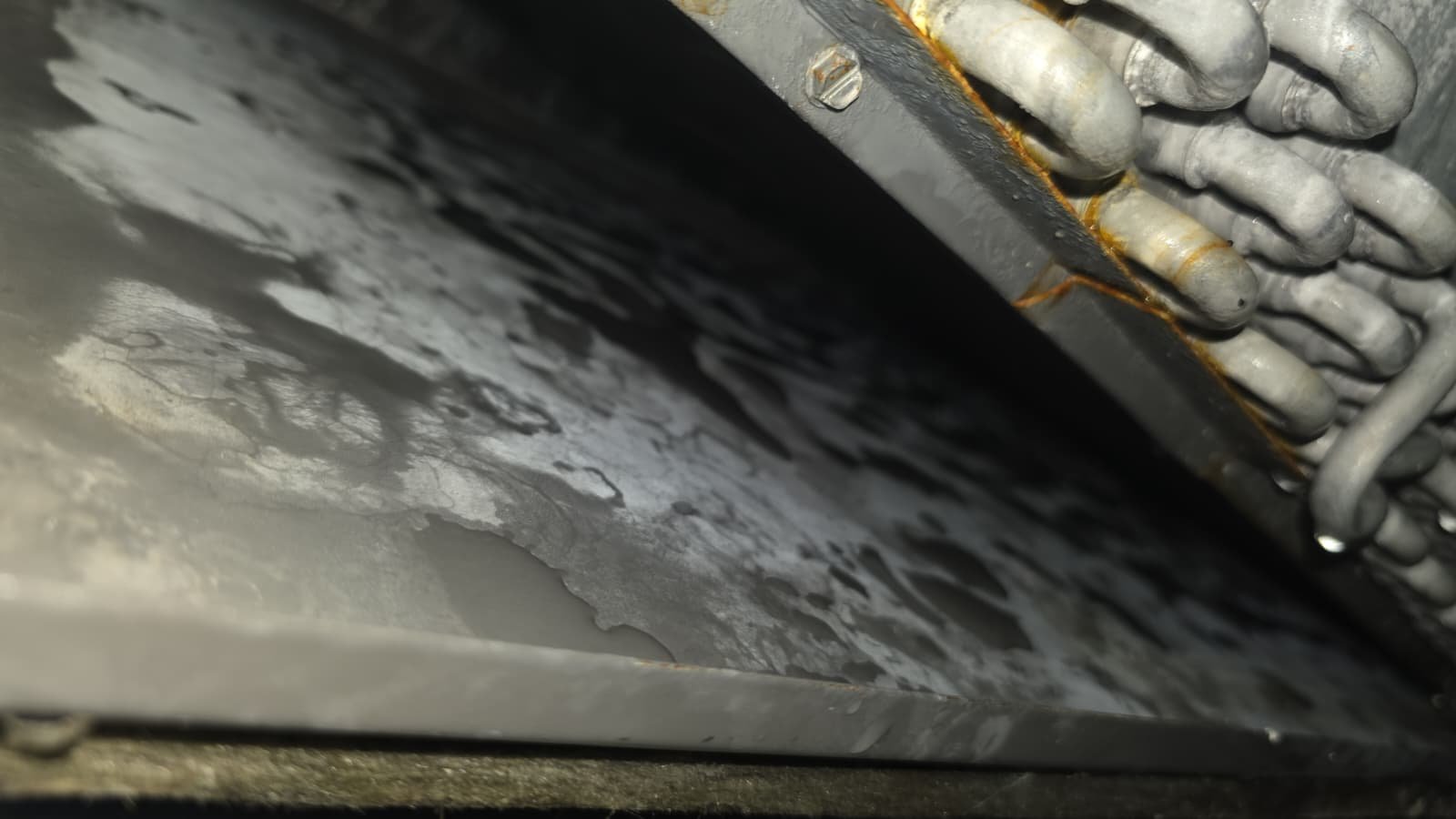 HVAC tune-up inspection with UV light system check in Tampa, FL 33647