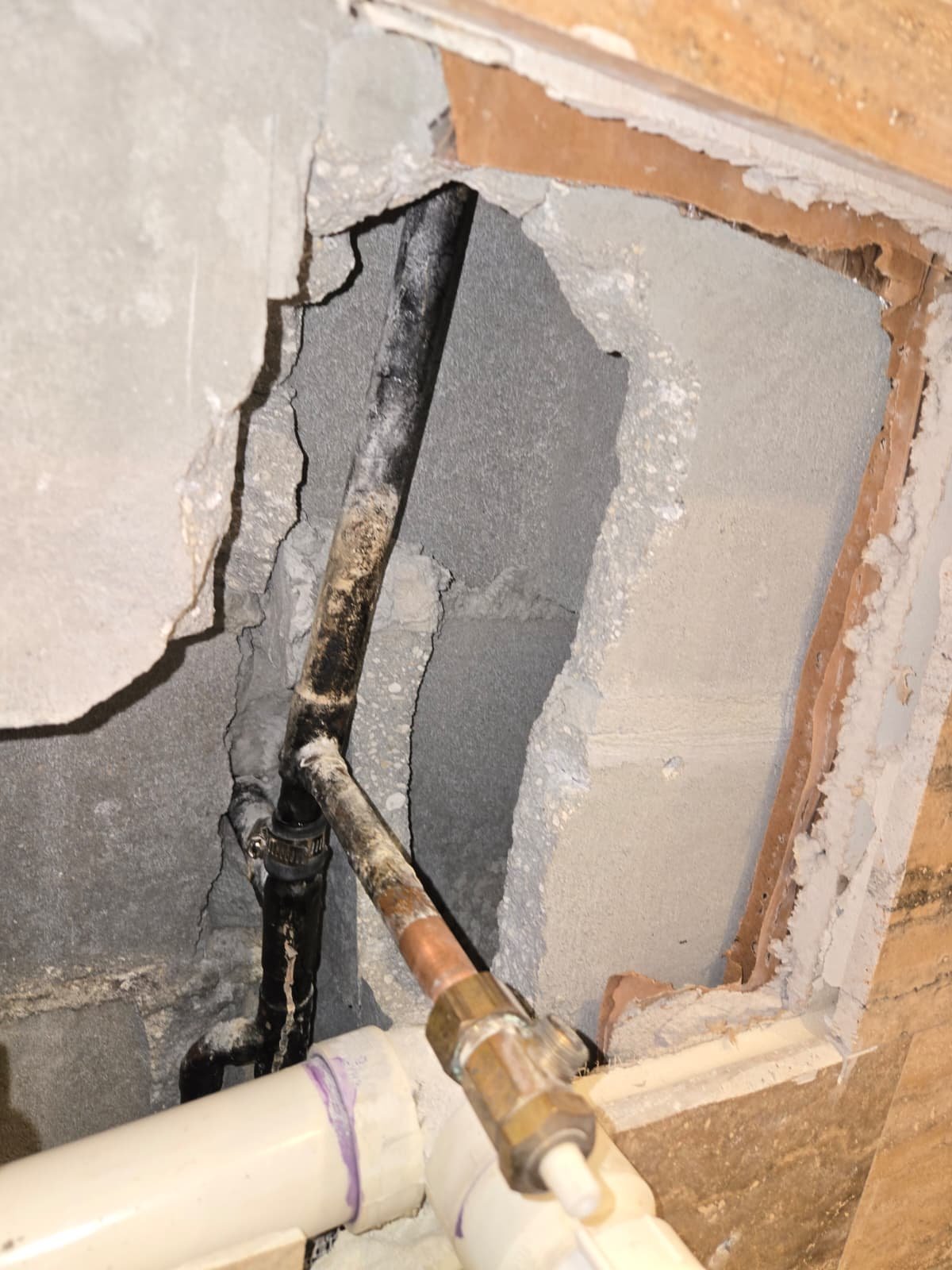 Exposed copper pipe rupture repair in Tampa, FL 33635 home