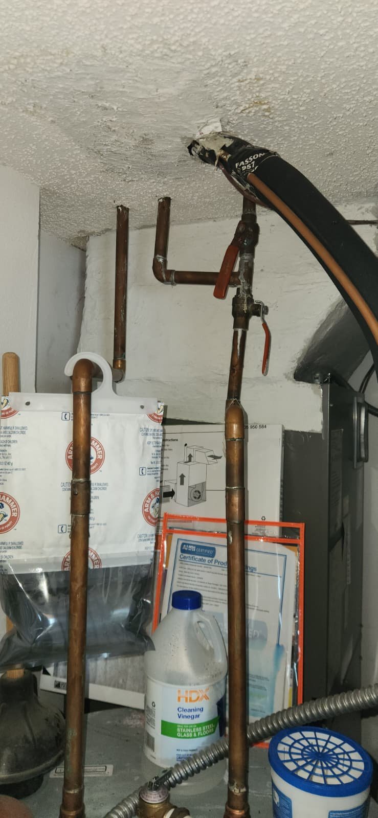 Inspecting anode rod and checking for leaks on water heater in Clearwater, FL 33767