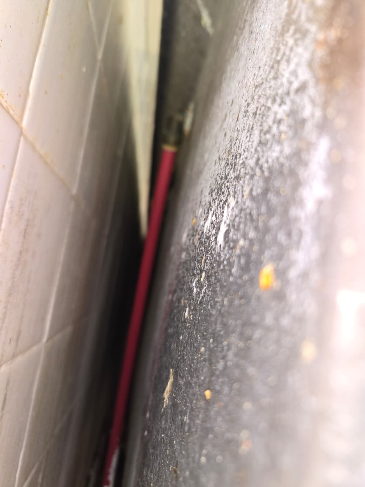 Finished residential service project documented in Largo, FL 33771