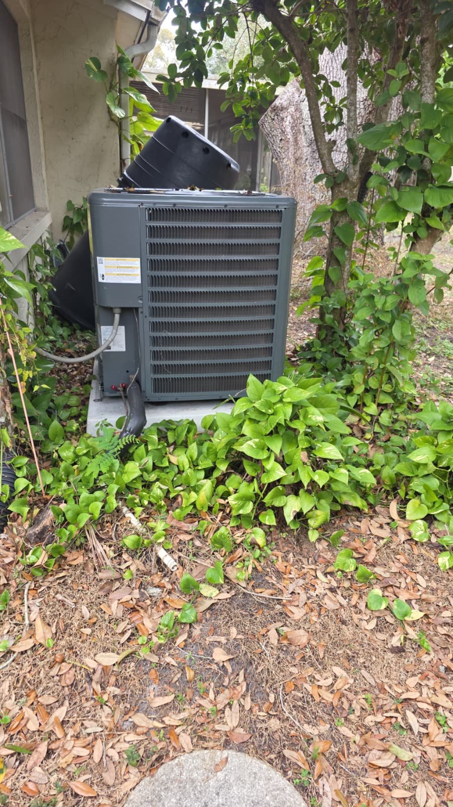 AC tune-up in Tampa, FL 33613 inspecting outdoor disconnect and wiring