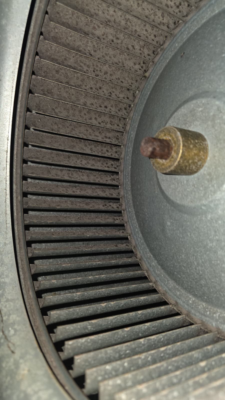 Inspecting fan blower and electrical connections in Tampa FL 33615 HVAC tune-up