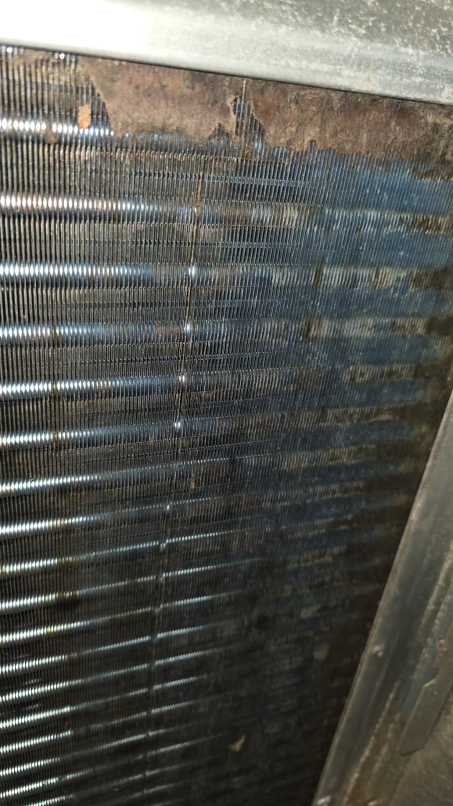 Final inspection of air handler relay replacement in Tampa, FL 33615