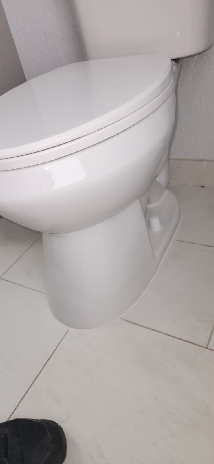 Plumber checking flange and seal during toilet installation in St. Petersburg, FL 33715