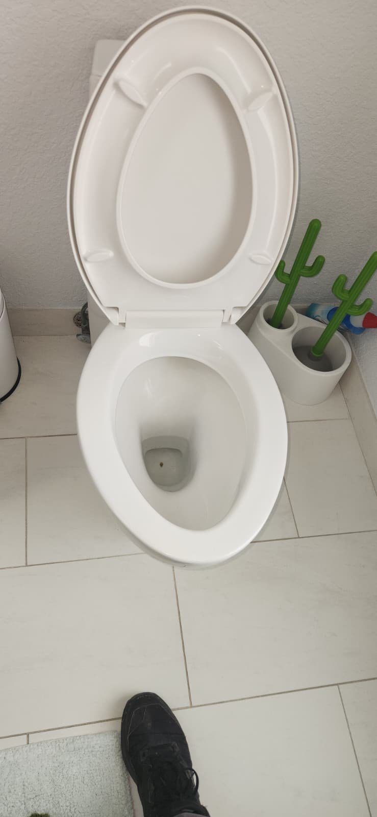 Side view of completed toilet installation in St. Petersburg, FL 33715 bathroom