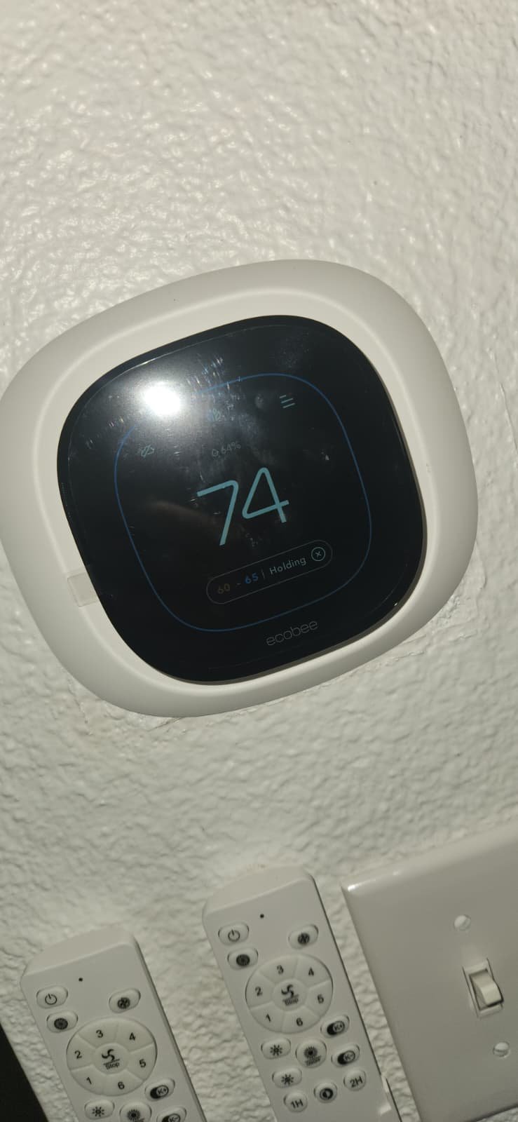 Drain line flush and sanitizing during AC tune-up in Clearwater, FL 33756