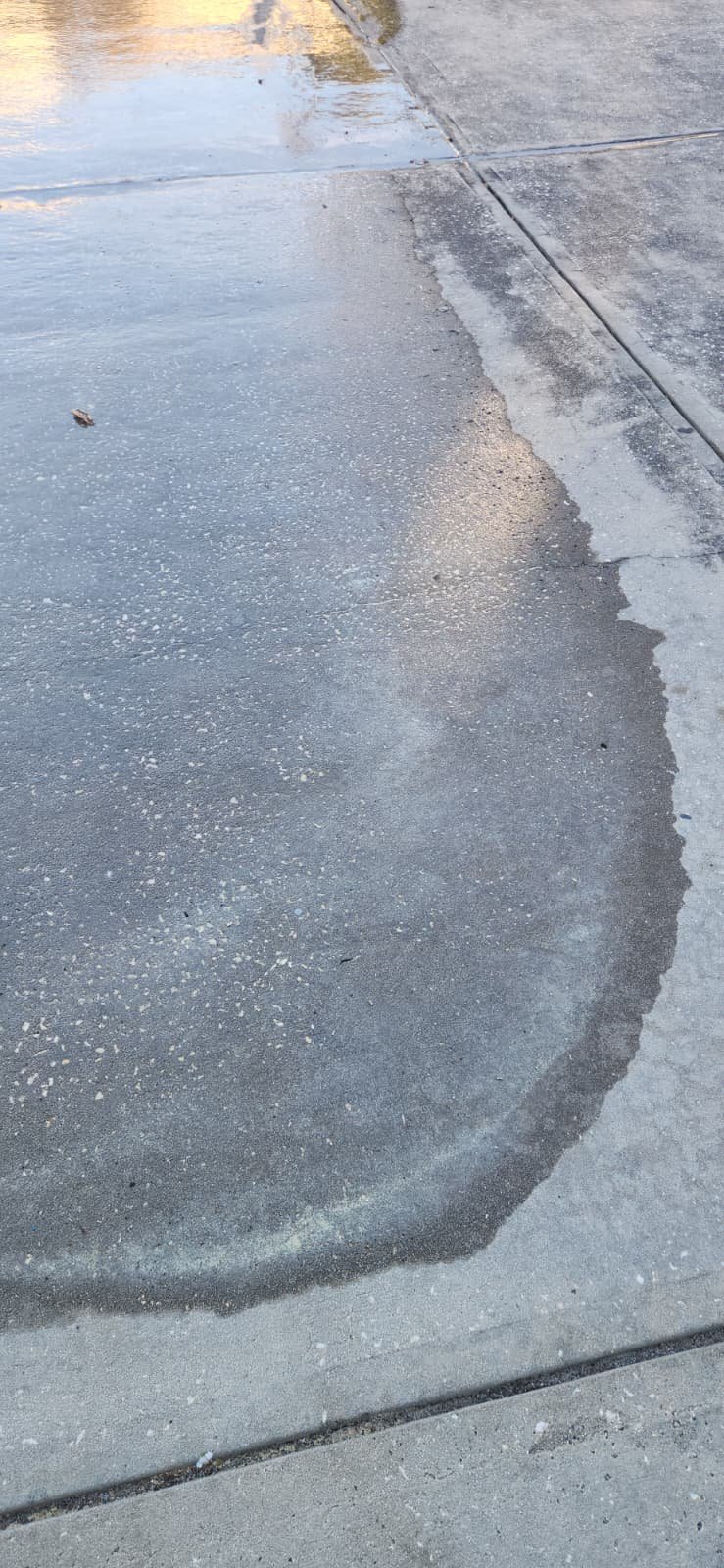 Testing water heater heating elements in Wesley Chapel, FL 33545