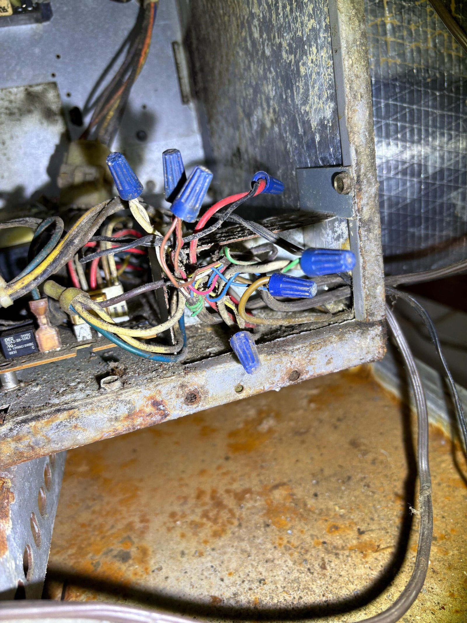 Rusty evaporator coil inspection during heat pump service in St. Petersburg, FL 33712