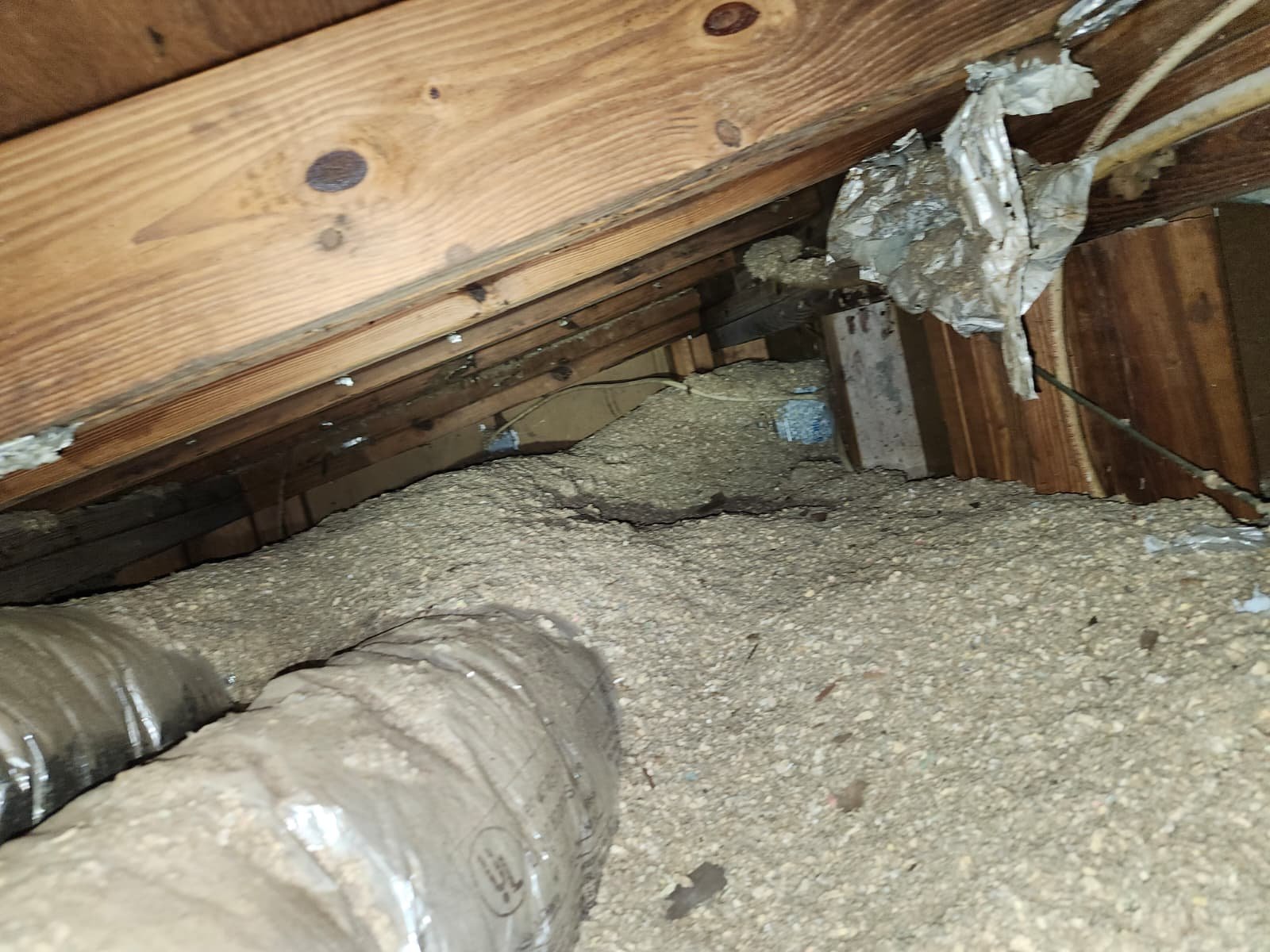 Air handler check during Elite AC maintenance in Tampa, FL 33617