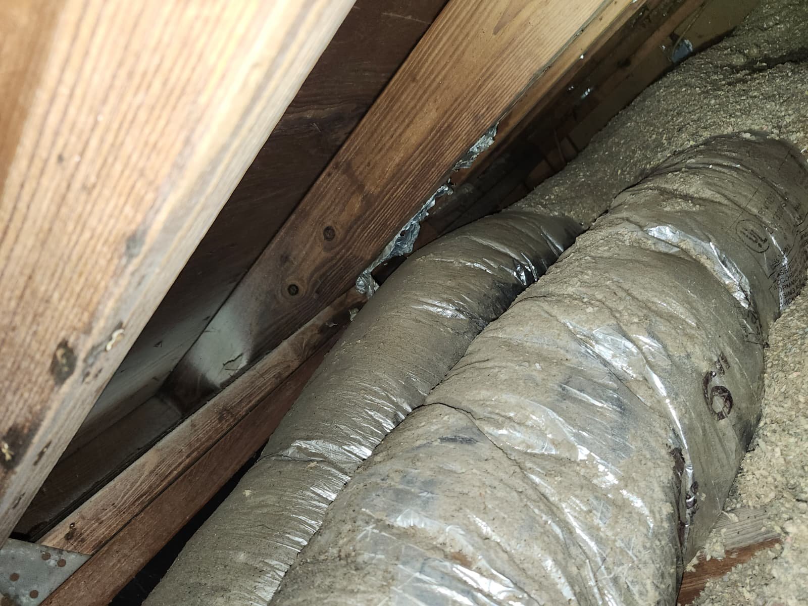 Dirty ductwork noted for cleaning recommendation in Tampa, FL 33617 home