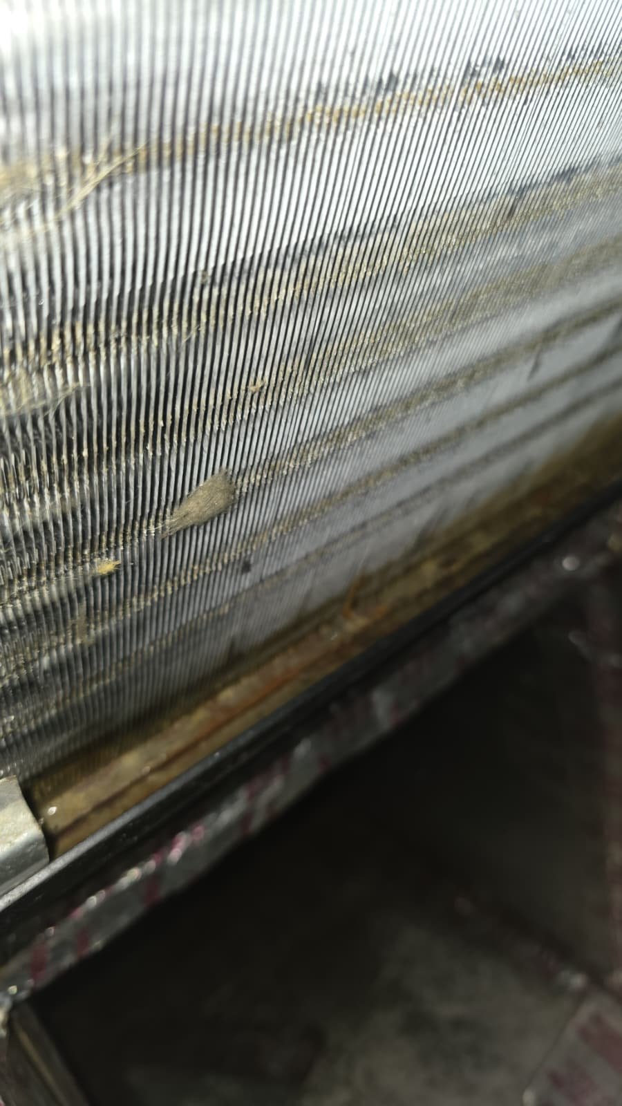 Section of damaged PVC drain line marked for replacement in New Port Richey, FL 34653