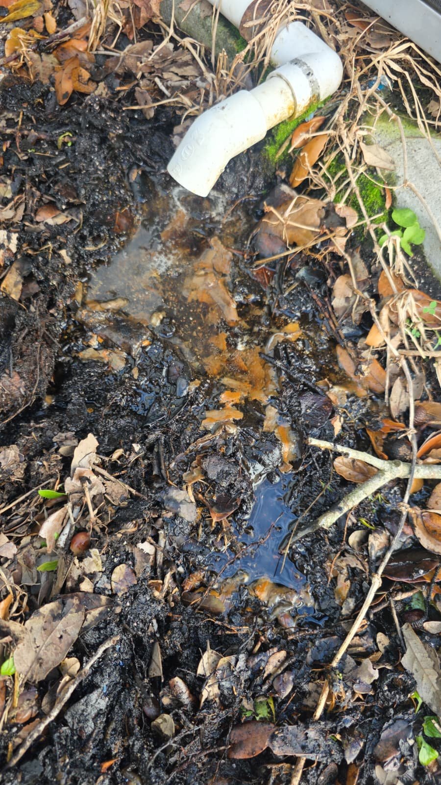 Completed AC drain line repair and flush service in New Port Richey, FL 34653